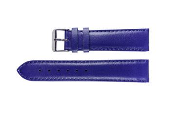 The watchstrap isolated