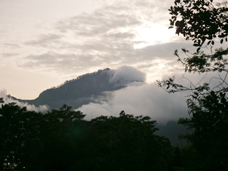 Obraz premium Tops of the mountains covered with forest in clouds and fog. Slopes of the mountains are covered with rainforest Bali, Indonesia. Mountain landscape, sky and clouds. Travel concept