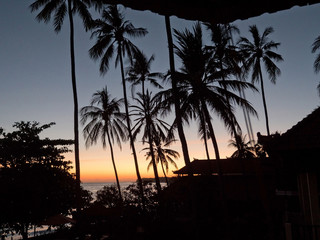Fototapeta premium Sunset, silhouette of palm trees. Travel concept, palm trees on the background of the sea at sunset time. Sunset on the ocean coast, mountains, sea, beach, sky, clouds Bali, Indonesia.