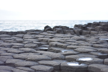Giant chaseway ireland