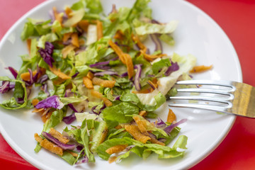 Close-up top view for fresh vegetable salad on the white plate