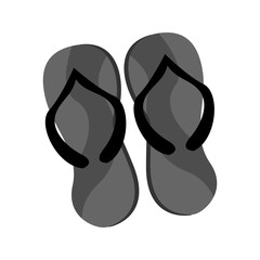 Sandal Grey Slippers Summer Stuff Illustration Graphic Design
