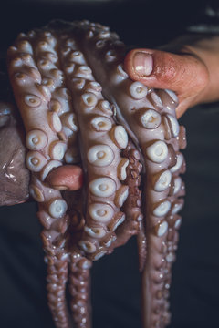 Man holds a raw octopus in his hands. Dark photo