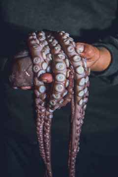 Man holds a raw octopus in his hands. Dark photo