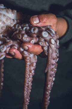 Man holds a raw octopus in his hands. Dark photo