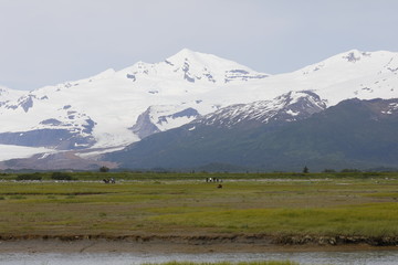 Fototapeta premium The coast whih the high mountains of una bay Katmai
