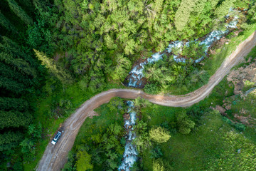Pine forest from above, spring season, forest road and river