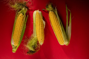 Three raw corn cob