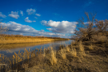 autumn landscape on the river