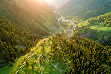 Aerial top view of summer green trees in forest with a splendid mountain river in Kazakhstan