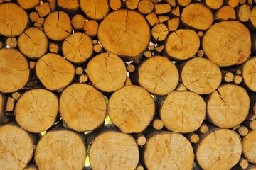 sawn logs from above, abstraction