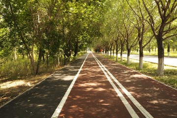 Bike path leading to the faraway