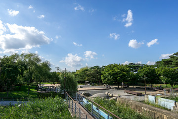 seonyudo park scenery