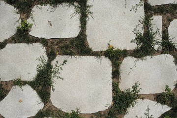 stone pavement overgrown with grass