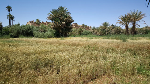 Meski Old Kasbah