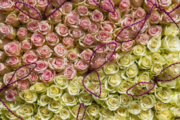 roses background