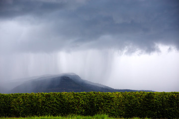 Rain falling on hills and fruit trees on the Atherton Tableland in Queensland, Australia