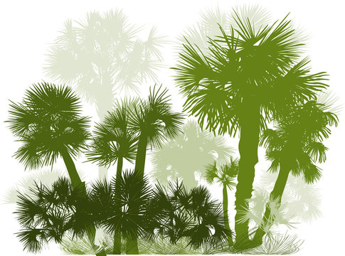 green palm trees large group on white