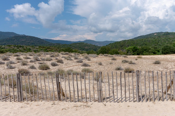 Fototapeta na wymiar A wood's enclosure near a beach of Corse island, France