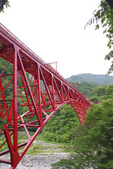 鉄橋を渡るトロッコ列車
