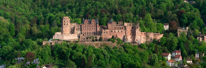 Fototapeta na wymiar Heidelberger Schloss Panorama