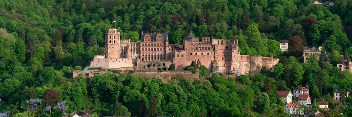 Heidelberger Schloss Panorama © eyetronic