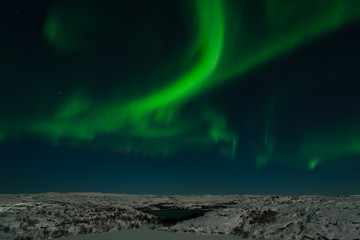 Aurora, Northern lights in the tundra in winter in the sky.