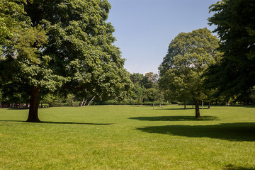 Beautiful park scene