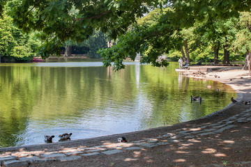 Beautiful Volksgarten Park in Cologne