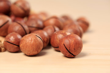 Macadamia nuts