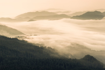 Fog in the valleys of the mountains.Panaramic view