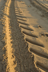 Summer sea, imprint of vehicles that clean the beach, vertical background