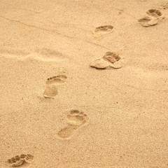 Fototapeta na wymiar Summer sea, footpath on sand, square frame