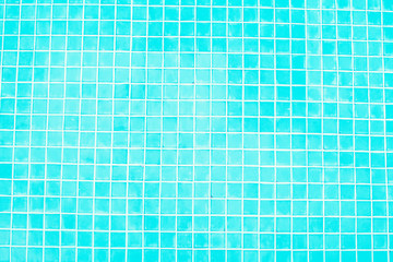 Dry coconut palm leaf texture background outdoor