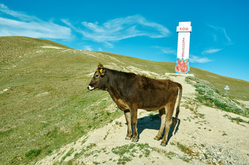 Toguz-Toro pass