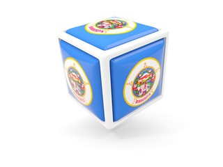 minnesota state flag in cube icon. United states local flags
