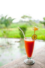 Orange and carrot juice in glass with mint, fresh vegetables and fruits on wooden table in outdoor terrace on greenery background. Copy-space for your text