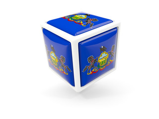 pennsylvania state flag in cube icon. United states local flags
