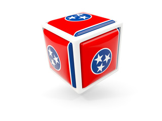 tennessee state flag in cube icon. United states local flags