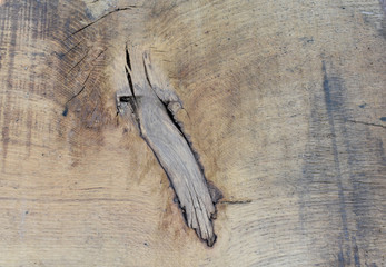 Texture of a wooden board
