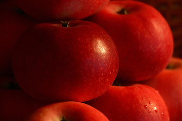 Fototapeta na wymiar Red apples./Accurately put red apples at natural room lighting.