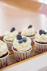 a concept of baking sweet cupcakes and muffins at home