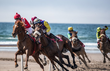Galloping race horses and jockeys racing on the beach