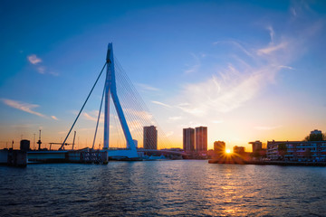 Naklejka premium Erasmus Bridge on sunset, Rotterdam, Netherlands
