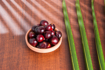 acai from the Amazon (Euterpe oleracea)