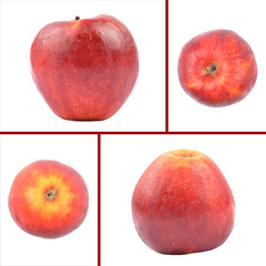 Roter Apfel als Collage auf weiss