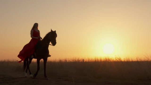 Young girl rider in red dress riding black horse against the sun in evening
