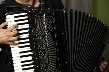 play the accordion - obrazy, fototapety, plakaty