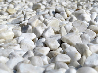 White pebbles close-up in sunny day, selective focus. Beach stones background