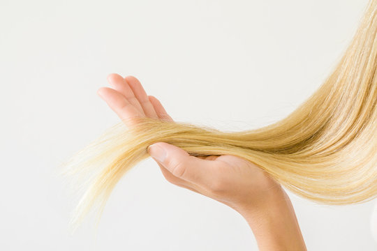 Woman's hand holding her perfect groomed, blonde hair on the light gray background. Love and care about beautiful, healthy and clean hair. Daily preparation for good looking.